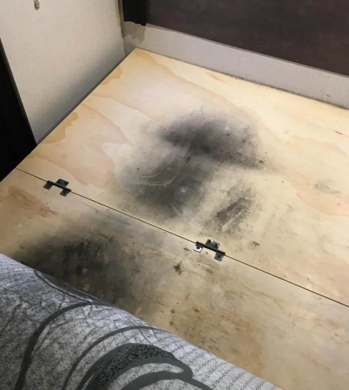 Mold remediation on an RV in Florida