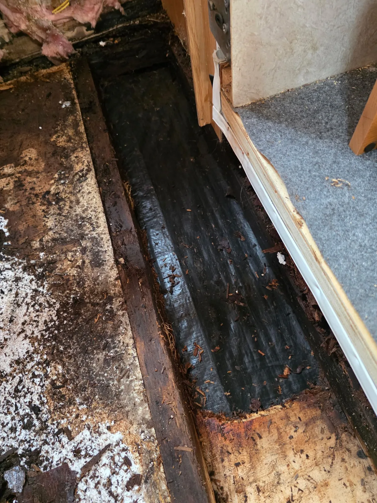 Wall Panel Replacement service for RVs in Florida